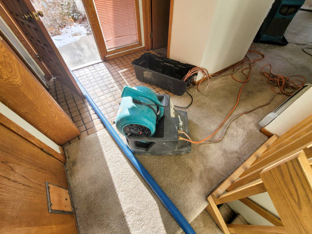 Best Mold removal after water damage  in Columbus, IN