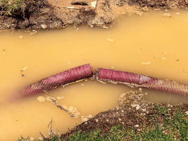  Columbus, IN Water damage restoration Pros