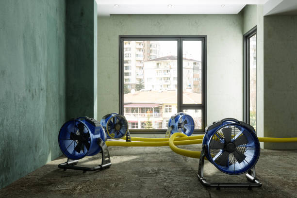 Best Residential water damage restoration  in Columbus, IN